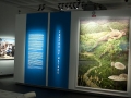 davidlachapelle1