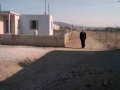 ΕΥΔΟΚΙΑ (16)