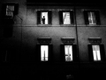 gazzilli-14