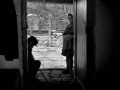 ΑΝΑΠΑΡΑΣΤΑΣΗ (41)