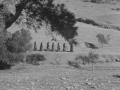 ΗΛΕΚΤΡΑ (21)