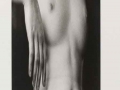 Kertész Distortions (1)