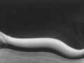 Kertész Distortions (2)