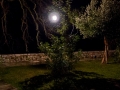 Ρέββας Θανάσης