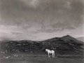 Paul Strand (33)