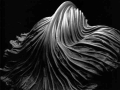 Edward Weston (5)