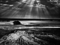 sebastiao salgado (61)