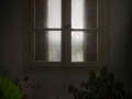 POLYTARHOY-13