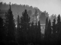 Βόγγλη Μαρία