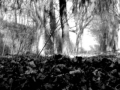 Γιάννα Καραδήμα - Josef Sudek