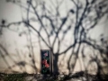Μαρία Βόγγλη