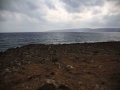 dimou-10
