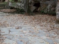 Κώστας Νυδριώτης