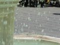 dscn2769